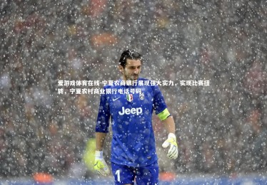 爱游戏体育在线-宁夏农商银行展现强大实力，实现比赛扭转，宁夏农村商业银行电话号码