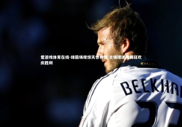 爱游戏体育在线-绿茵场现惊天世界波 主场球迷沸腾狂欢庆胜利