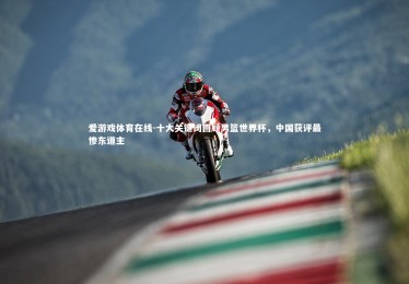 爱游戏体育在线-十大关键词回顾男篮世界杯，中国获评最惨东道主