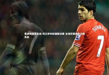 爱游戏体育在线-荷兰梦碎欧国联决赛 主场饮恨再失问鼎良机