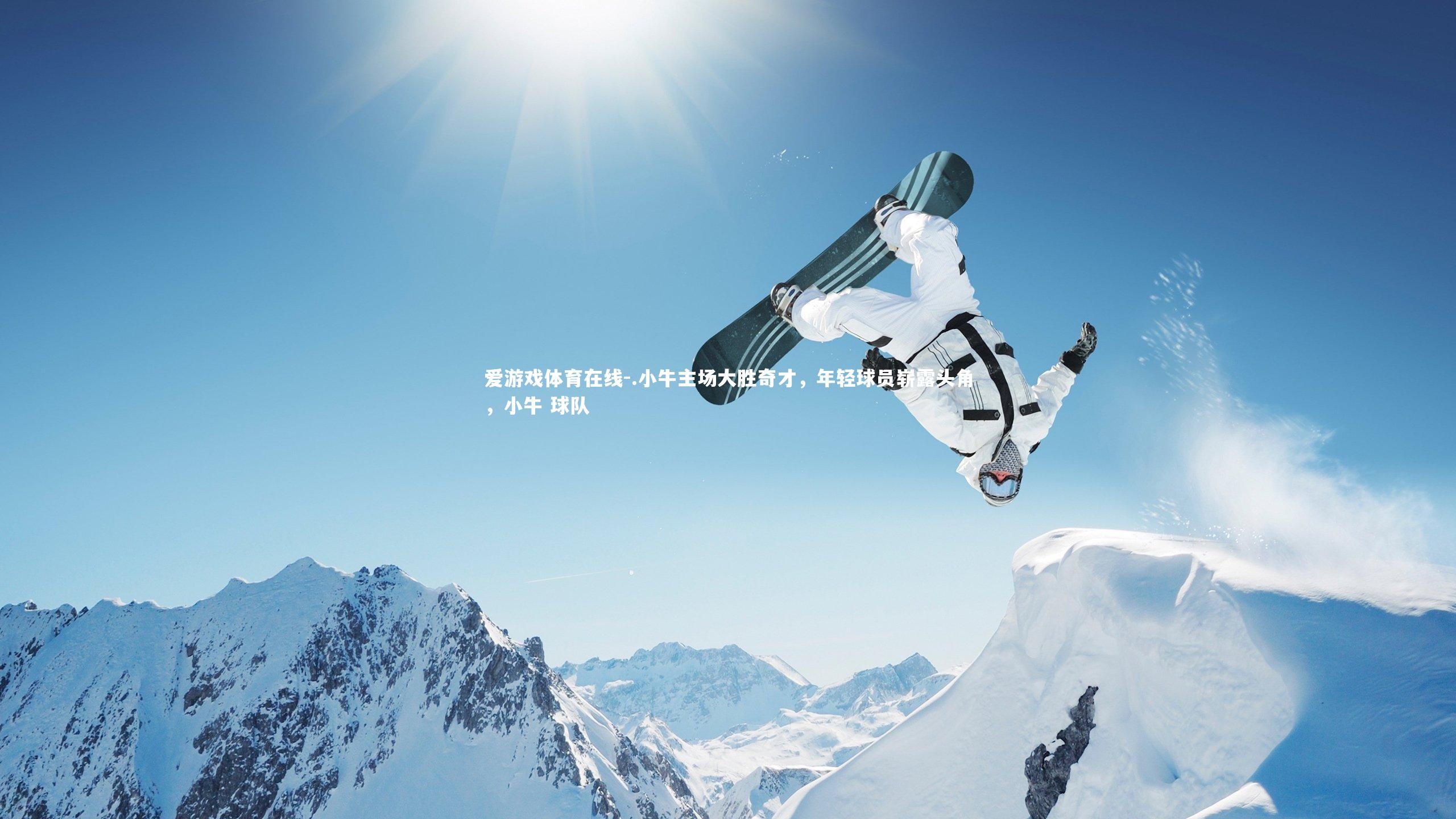 .小牛主场大胜奇才，年轻球员崭露头角，小牛 球队