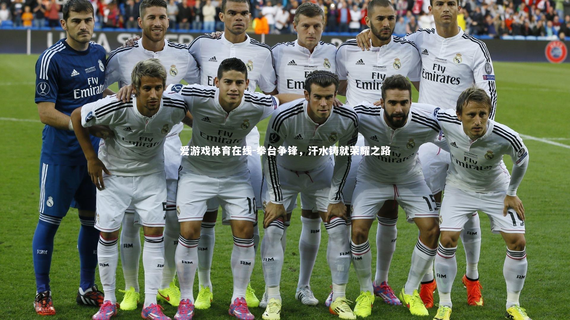 拳台争锋，汗水铸就荣耀之路